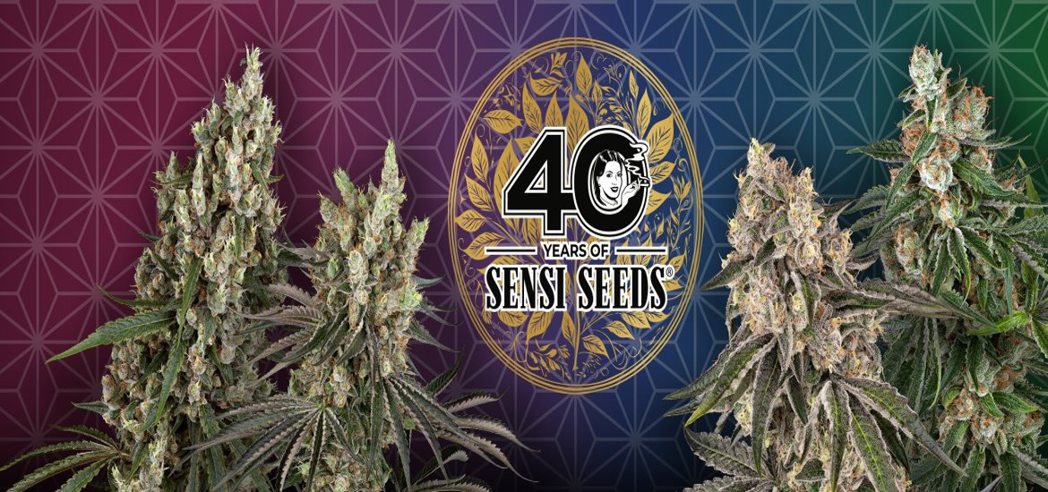 Sensi Seeds UK